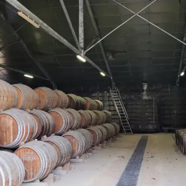 des chais à protéger porte-coupe-feu-coulissante-et-battante-EI120-Chais-a-proteger-Armagnac-OIS-Fivo-securite-incendie-1.jped